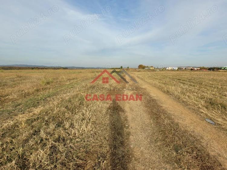 Teren intravilan in Baicoi zona targului--10.000mp--5e - 8