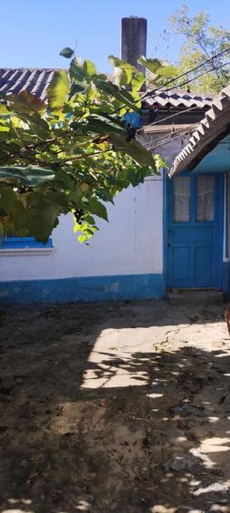 Casa batranesca Somova - 5