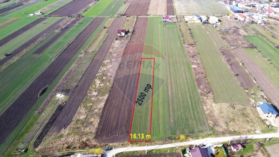 Teren Vanatori Strada Crizantemelor - 2