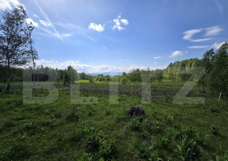 Teren extravilan 13103 mp in Dealu Mare! Oportunitate invest - 1