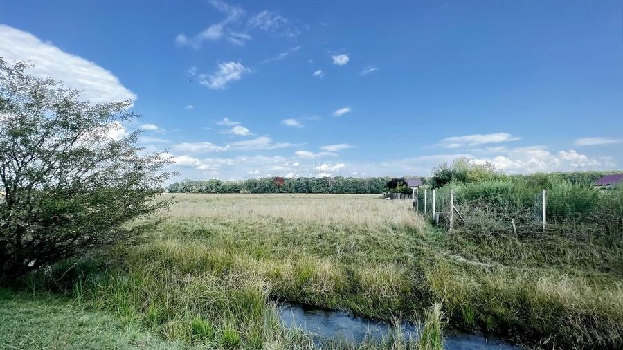 Teren Extravilan - 8