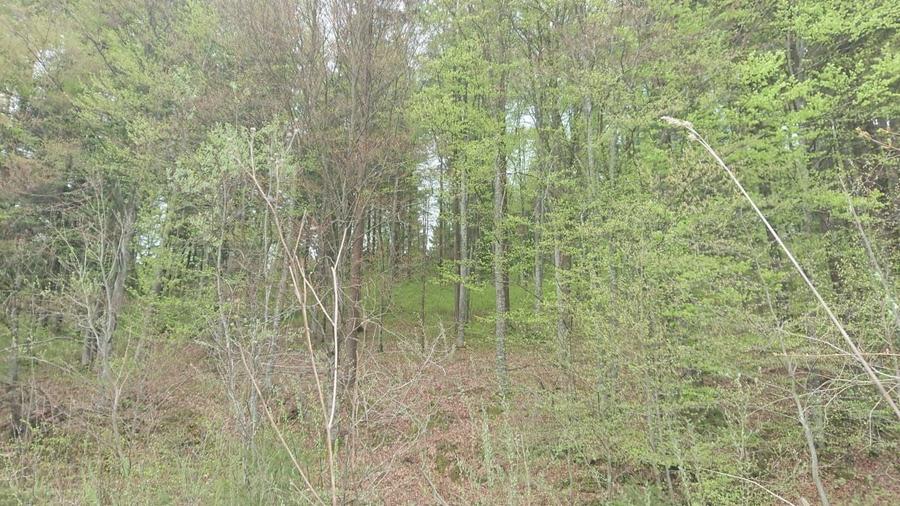 Teren de vanzare la munte valea bozumului - 6