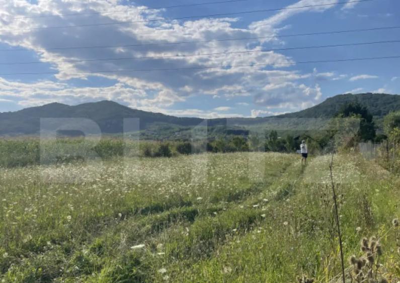 Teren intravilan Vii?oara ideal pentru casa sau invest - 1