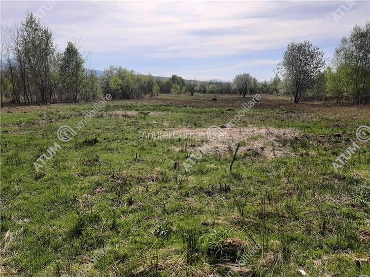Teren Construcții intravilan de 2700 mp, în Central Teren Construcții intravilan de 2700 mp, în Central