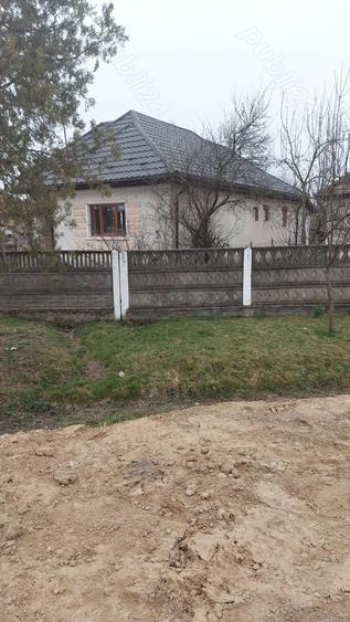 Casă cu 3 camere cu Teren 5000 Mp în Valea Vinului