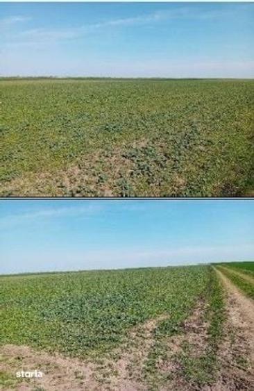 Teren de 5000 mp, în Umbrărești