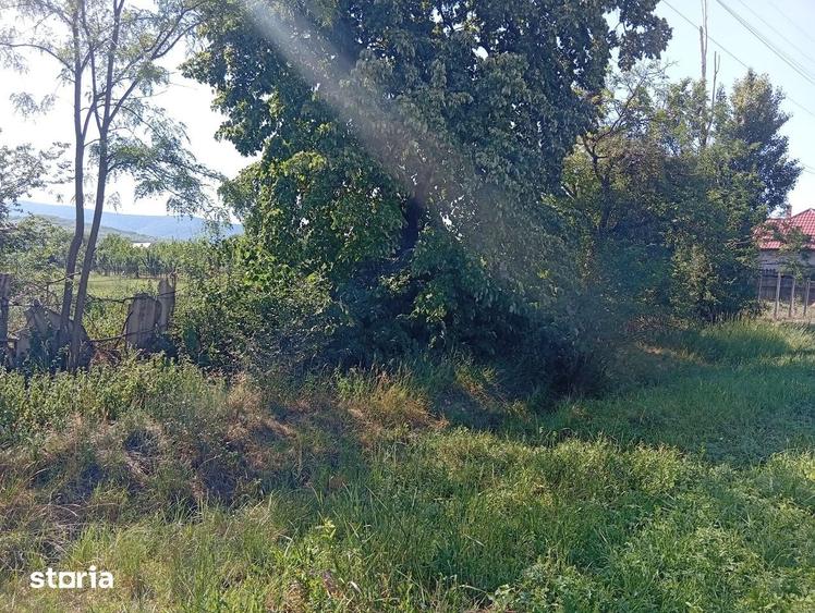 Teren de 1823 mp, în Șiria