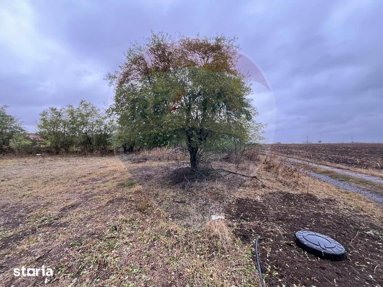 Teren intravilan 1700 mp, de vanzare, A2, Sarulesti, Polcesti - 3