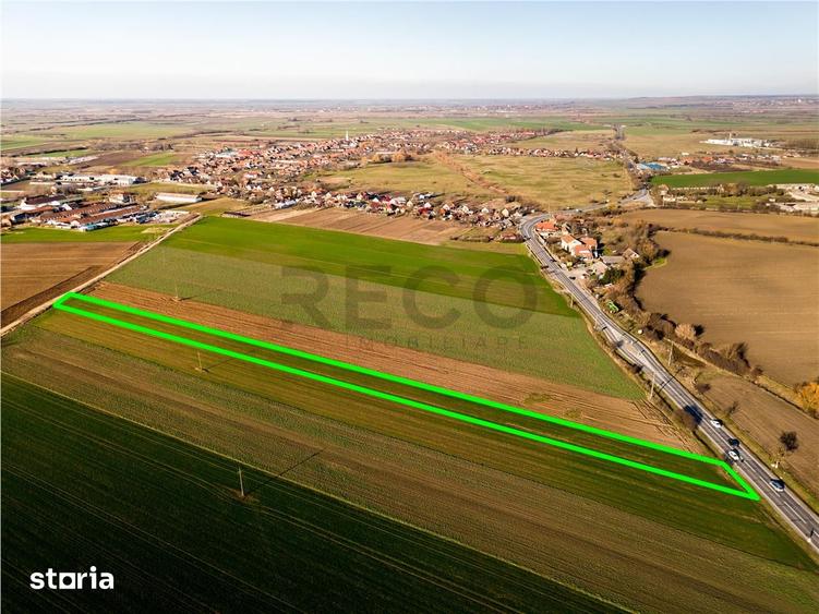 Teren de 5000 mp, în Tămășeu