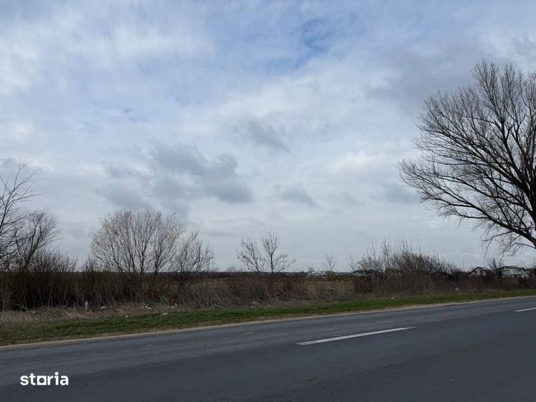 Teren premium de vanzare/inchiriere Crevedia, deschidere 320m la DN1A - 3