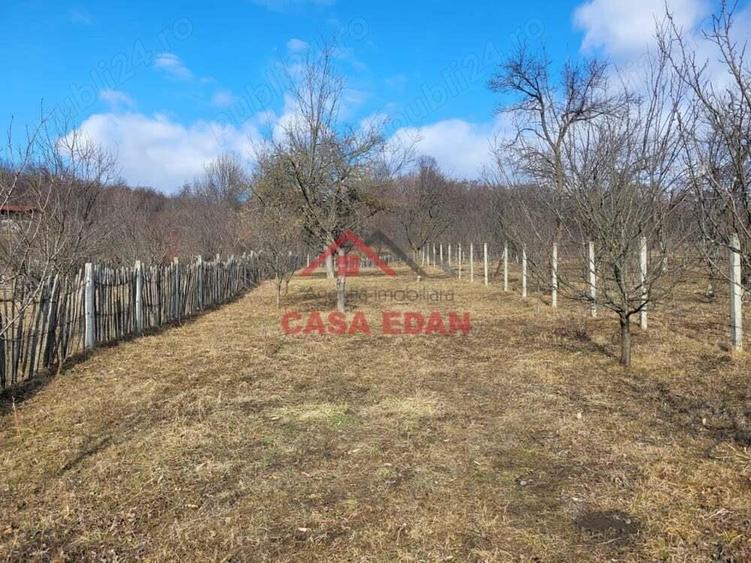 Teren intravilan in Cornu--2991mp--29e - 10