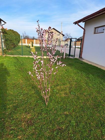 Casa moderna intr-un peisaj de vis,situata intre Pitesti si Valcea - 3