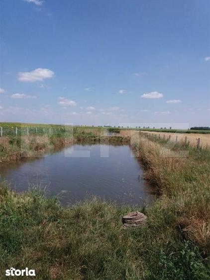 Casa pe parter 50mp utili + teren 4700mp, Bailesti - 1