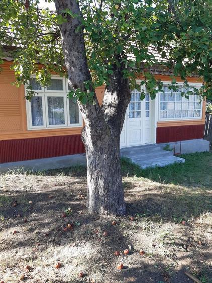 Casa de vanzare 6000 mp - 3