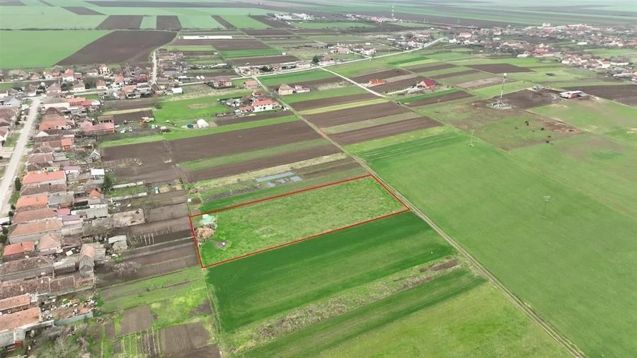 RECO Teren intravilan Girisu de Cris - 1