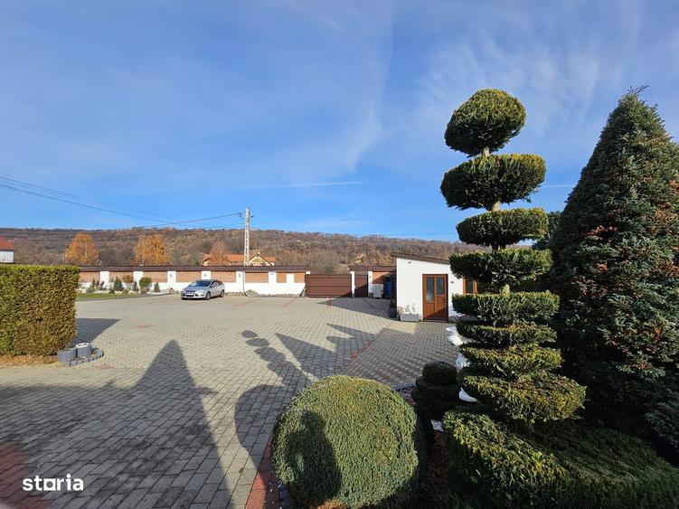 Pensiune+VILA, NOU: Casa Elena Sibiel, Terasa, Garaj, Renovata|VIDEO - 7