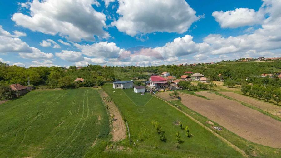 Casa cu 3 camere, anexa si 2042 mp teren de vanzare, in Calea Mare - 15