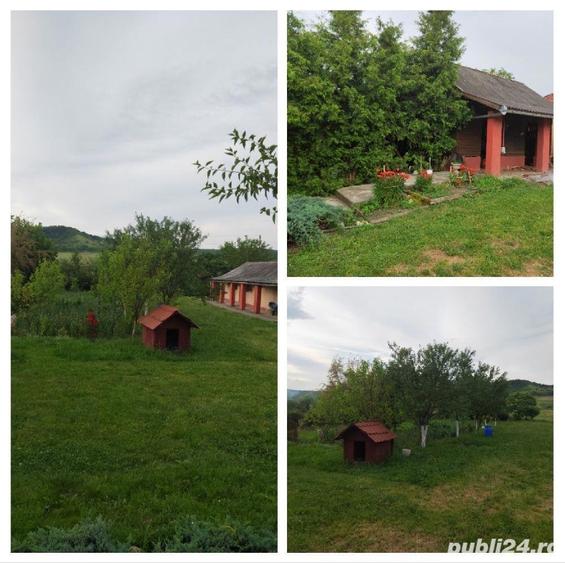 2 case finisate+1ha teren+ lac in ?intereag - 4