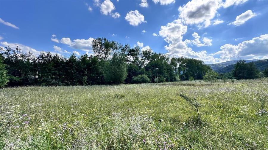 Teren intravilan curti constructii Bardet  Sacele  2000 mp comision Zero - 6