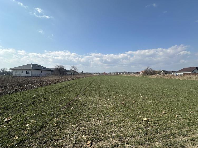 Teren intravilan 20 ari | Rădăuți | Front stradal 19.49 m - 1