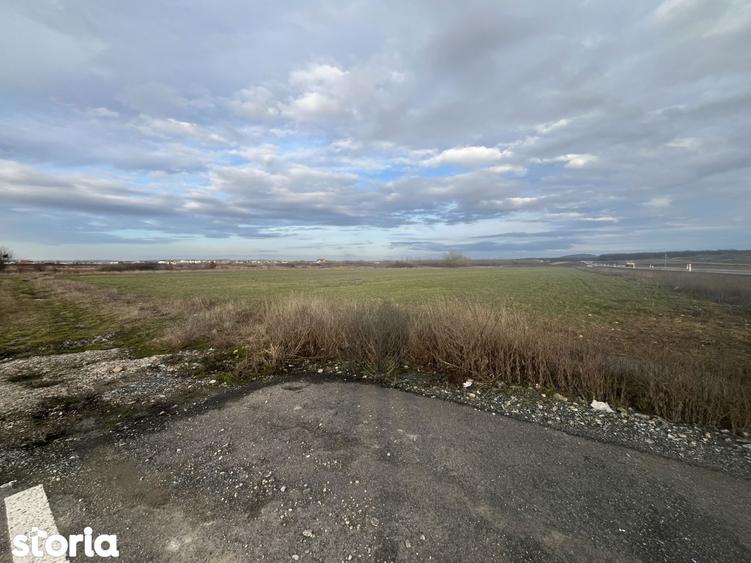 Teren 7481 mp, cu acces facil la Inelul Metropolitan - 5