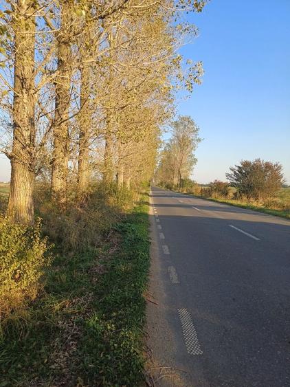 Lipia deschidere la DJ 101B ( Snagov-Nuci) - 8