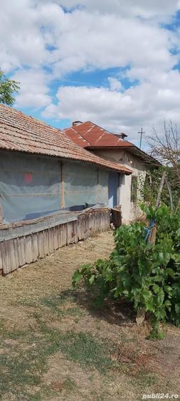 Casa la ?ara jud. Giurgiu, 4 camere, curte 4000 mp - 3