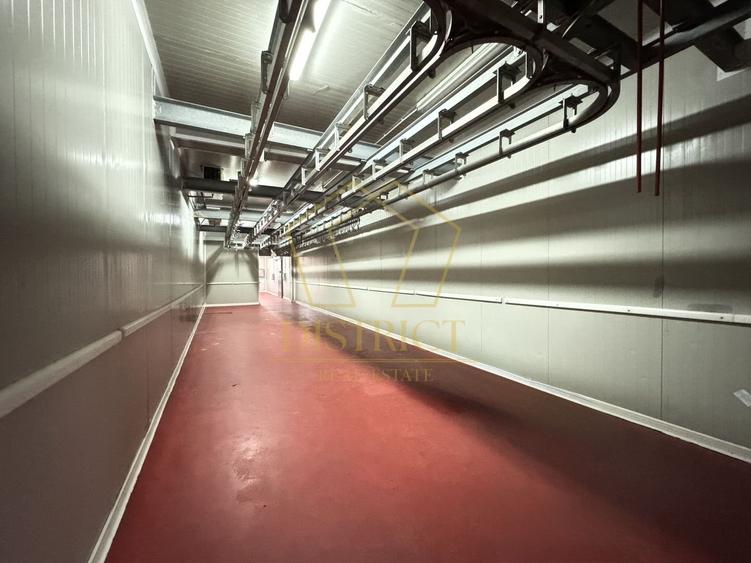 Hala pentru depozitare si distributie | Dumbravita - 6