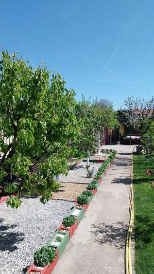 Casa de Vanzare Buftea - 1