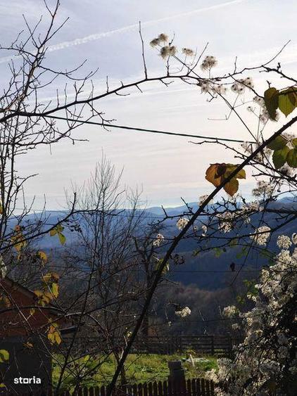 Teren intravilan Breaza 4,000mp cu utilitati. Panorama. Intimitate. - 1