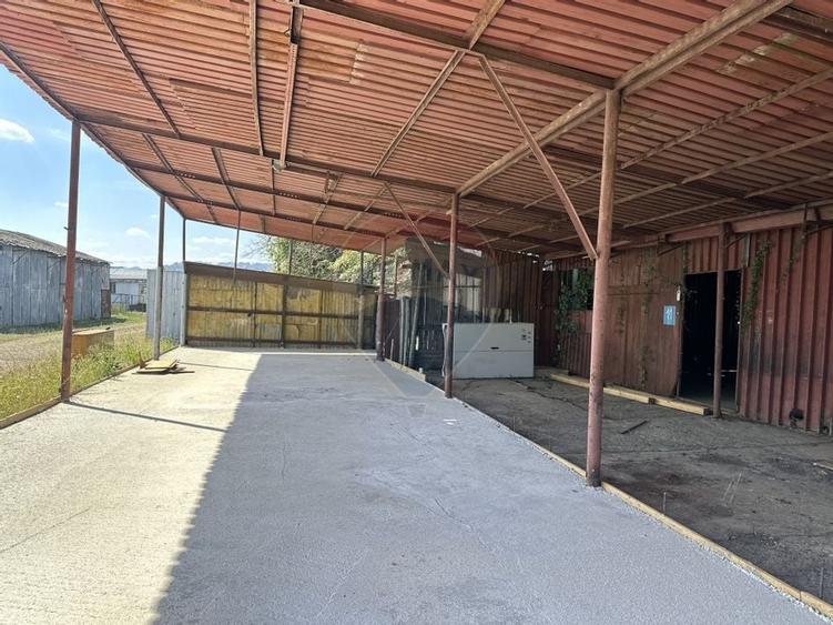 Spațiu industrial hale depozitare si productie - 5