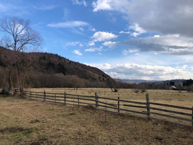 Oportunitate de investitie - 3