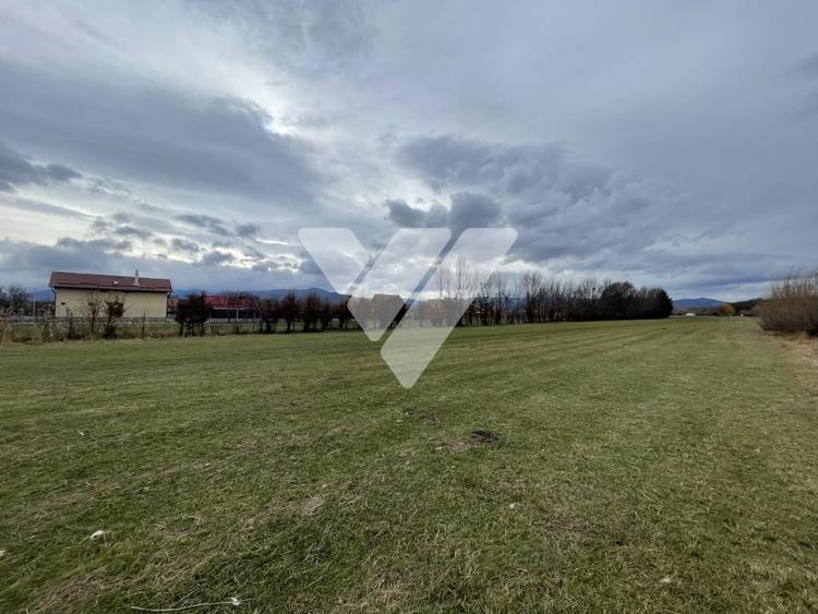 Teren intravilan pentru dezvoltare rezidentiala 4400 mp - 4