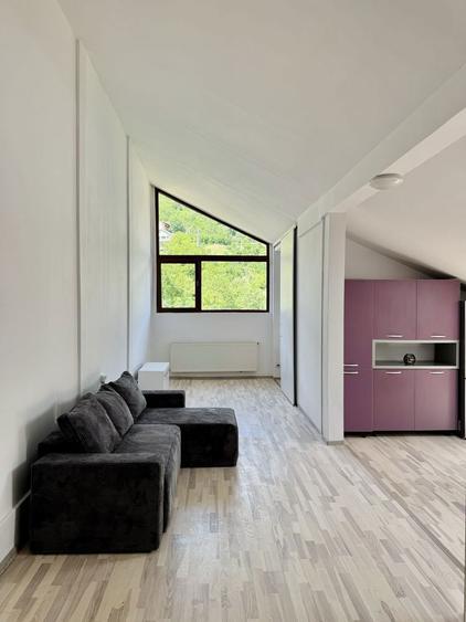 Apartament open-space tip loft , Grigorescu, pet-friendly - 6