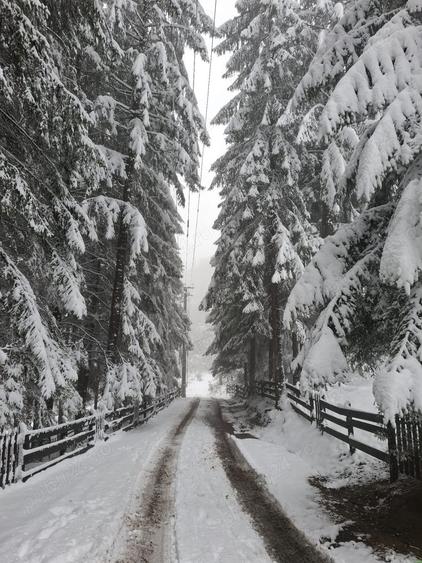 Apartament 2 camere decomandat, mobilat, 2 balcoane, parcare privata mare - 5