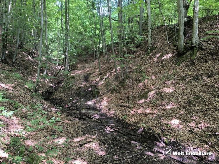 Casa de vacanta, cu lac, 5640 mp teren, Huta, com. Chiuiesti, jud. Cluj - 27