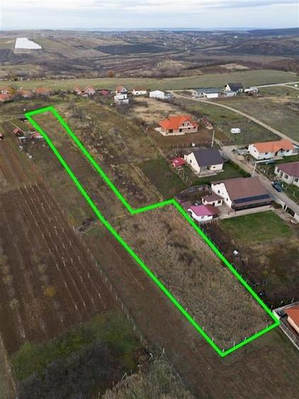 RECO . Teren intravilan Saldabagiu de munte . - 4