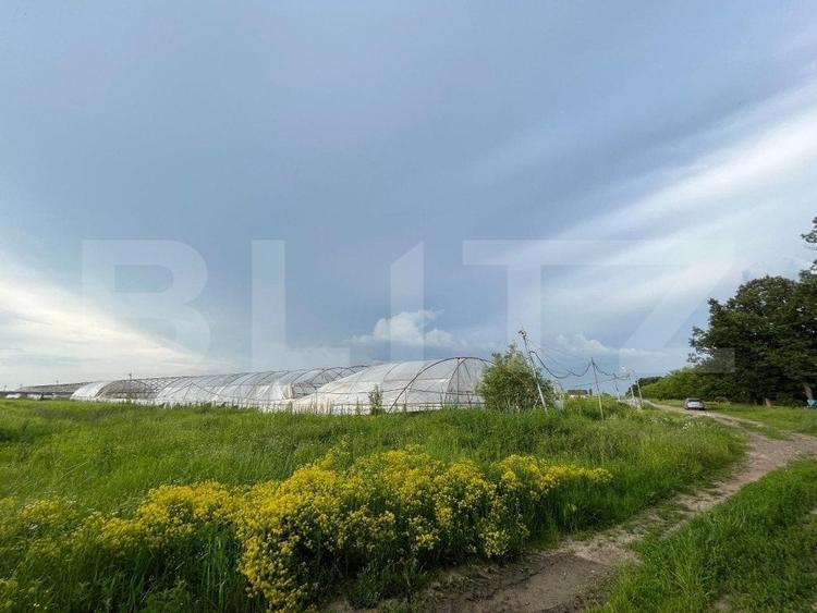 Teren partial intravilan 23.500 mp, apa, curent si supraveghere video, Bucovat - 2