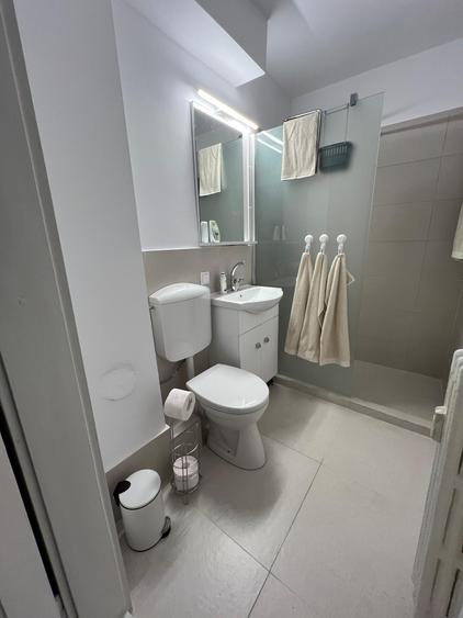 Apartament renovat ,mobilat, utilat nou in Grigorescu - 13