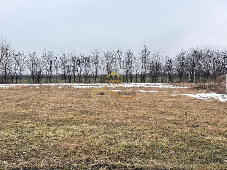 Teren de vanzare Siretu Saucesti Bacau - 6