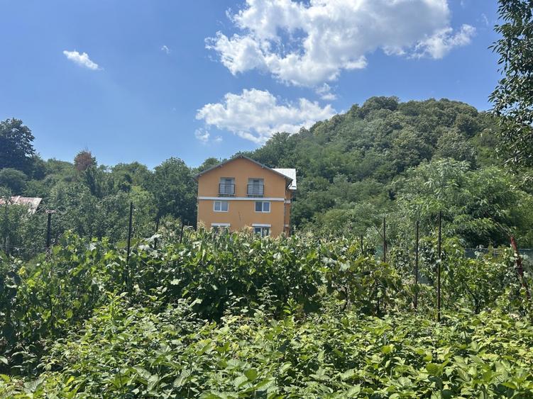 VAND O VILA IN PADUREA DIN FILIPESTI - 16