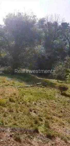 Casa 2 camere in Zam - ID : RH-38533-property