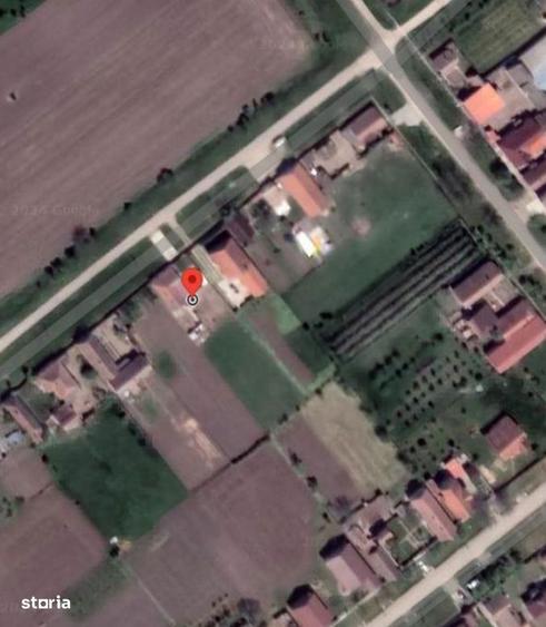 cpta 1/8 din Teren cu casa Loc. ?imand, jud . Arad - 2