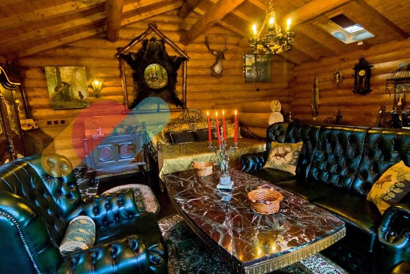 Complex  Printesa din Carpati  - Oportunitate de Investitie Unica pe Valea Aries - 17