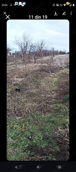 Casa batraneasca sat Co?atcu com Podgoria - 5