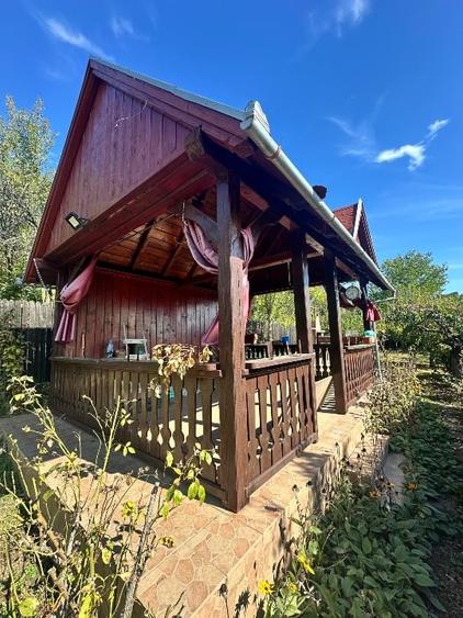 Vanzare vila superbă, P+1+Pod, Albota - 4