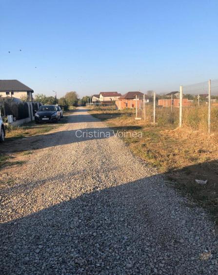 Teren intravilan 500 mp Magurele