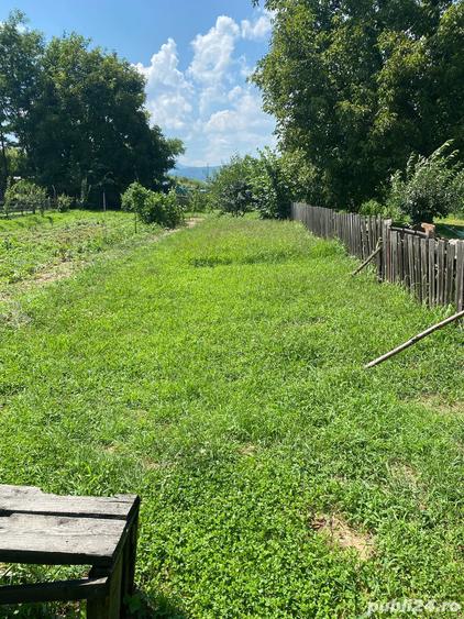 Vand casa batraneasca - 1