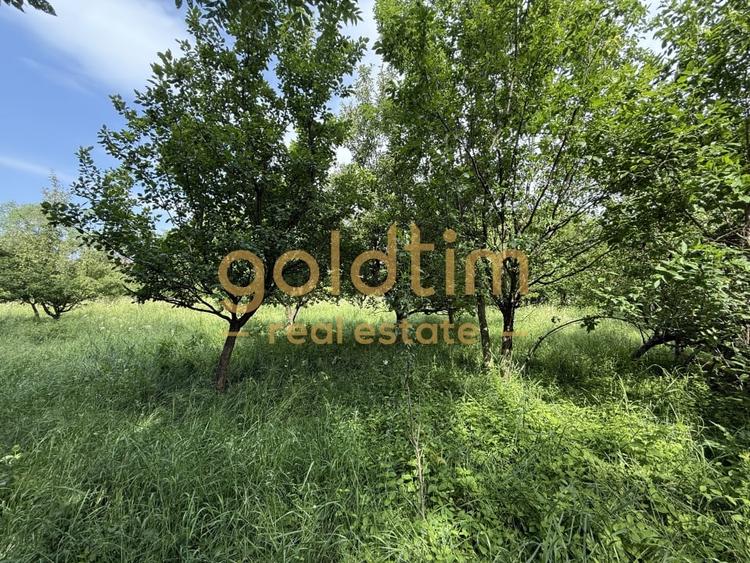 CASA IN ZONA LINISTITA/MOBILATA/UTILATA/TEREN IMPRESIONANT 5000MP/CORNU/PRAHOVA - 5