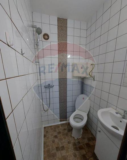 Garsoniera moderna de inchiriat Moise Nicoara - Piata Alb... - 2